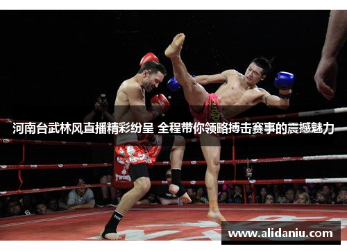 河南台武林风直播精彩纷呈 全程带你领略搏击赛事的震撼魅力