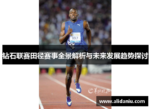 钻石联赛田径赛事全景解析与未来发展趋势探讨