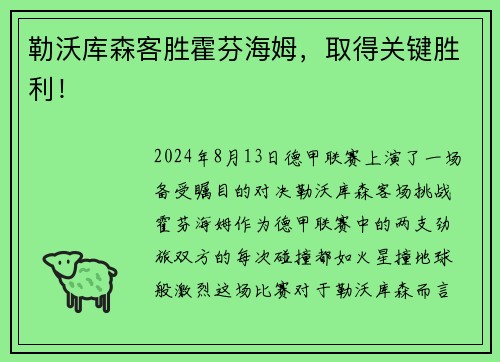 勒沃库森客胜霍芬海姆，取得关键胜利！